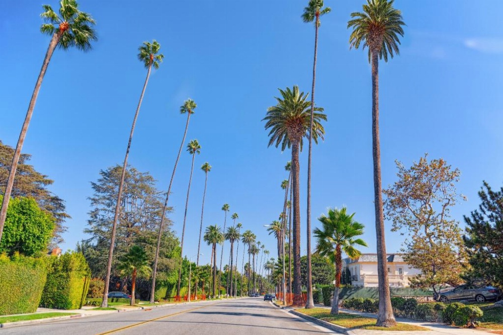 Hotel Normandie - Los Angeles Image 23
